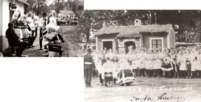 svatba