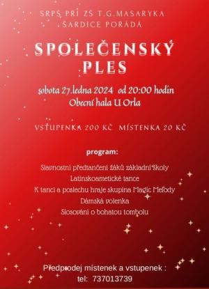 Společenský ples 1