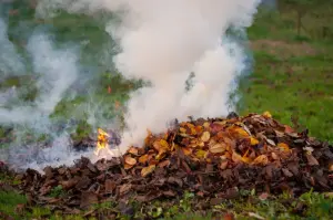 Zákaz pálení rostlinného odpadu  1